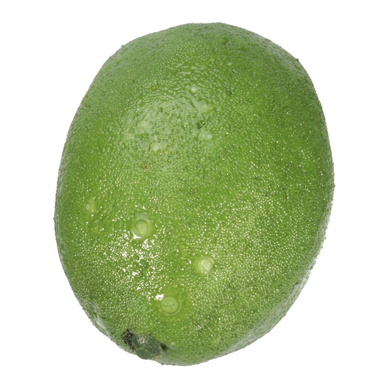 36 X Realistic Lifelike Artifi - Foods X 评论和价格
